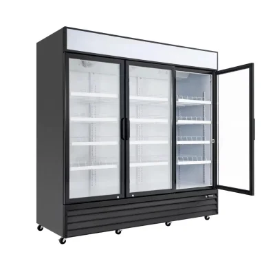 სასმელების მაცივარი GN-1000