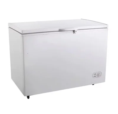 საყინულე მაცივარი BD-450