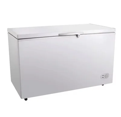 საყინულე მაცივარი BD-550